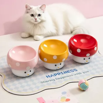 Slanted Cat Bowls: Better Posture, Less Mess?