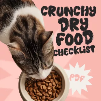 Is Your Cat Eating Enough? Signs, Portions & Vet Tips